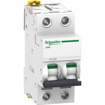 Автоматический выключатель SCHNEIDER ELECTRIC ACTI 9 iC60L 2П 25A C