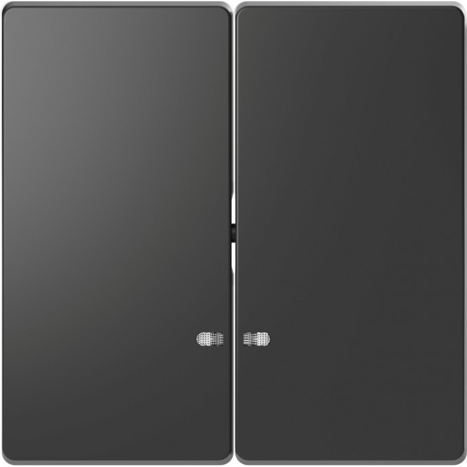 Клавиша двойная MERTEN D-LIFE с линзой для LED модуля, АНТРАЦИТ MTN3420-6034 Клавиша двойная MERTEN D-LIFE с линзой для LED модуля, АНТРАЦИТ MTN3420-6034