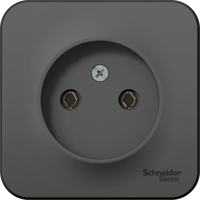 Розетка SCHNEIDER ELECTRIC BLANCA без заземления без шторок, 16А, 250В, антрацит BLNRA000106 Розетка SCHNEIDER ELECTRIC BLANCA без заземления без шторок, 16А, 250В, антрацит BLNRA000106