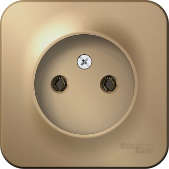 Розетка SCHNEIDER ELECTRIC BLANCA без заземления, без шторок, с изолирующей пластиной, 16А, 250В, титан